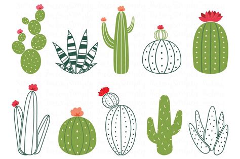 Cactus Design Elements Illustrations Creative Market