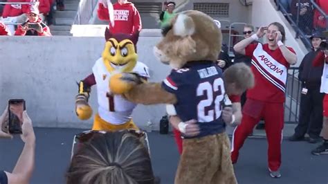 Arizona Arizona State Mascots Get Into Fight Sparky Beats Wilbur