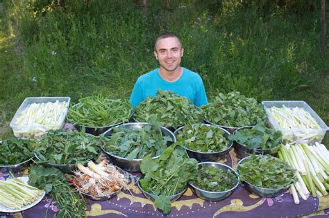 Simple Rules For Foraging Wild Edibles Sergei Boutenko