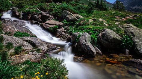 Beautiful Mountain River Fast Clear Water Rocks Grass