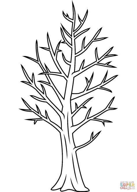 Tree coloring pages feature various types of trees and plants which help kids … Bare Tree coloring page | Free Printable Coloring Pages
