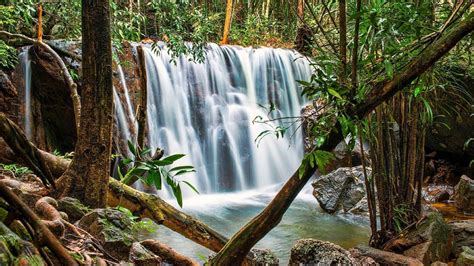 Discover Phu Quoc National Park And Cua Can River Full Day