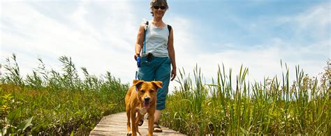 Staff is beyond friendly and helpful. Pet-Friendly Hikes in CT | Visit CT