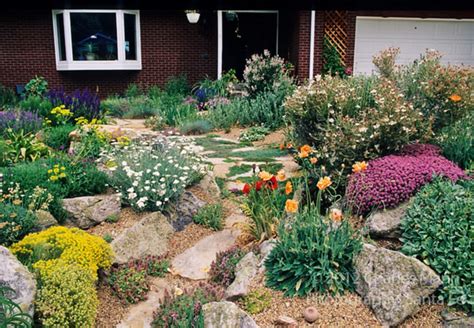 Best 65 Best Xeriscape Landscaping Colorado Inspirations You Need To