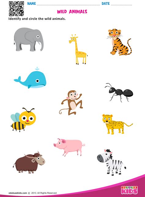 Preschool Wild Animals Worksheets For Kindergarten Kidsworksheetfun