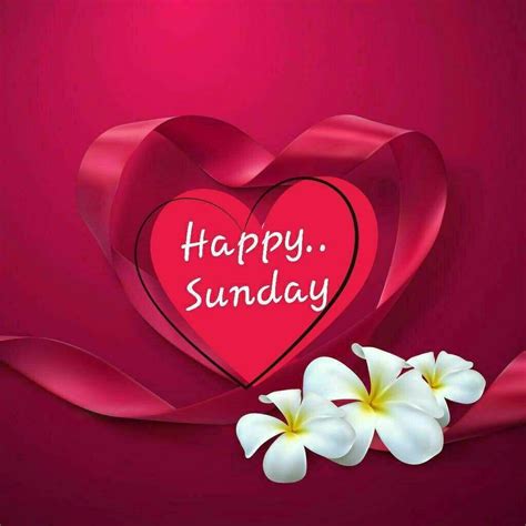 Collection Of Over 999 High Quality Good Morning Happy Sunday Hd Images