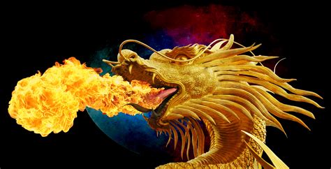 Fotos Gratis Llama Tailandia Dragón Mitología Dragón Dorado
