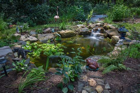 A customer's Tranquility Deluxe pond built by Living Waterscapes