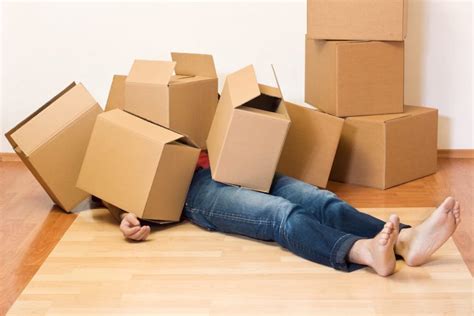 4 Common Causes Of Stress While Moving And Their Solutions Fantastic