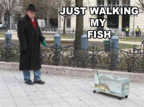 Just Walking My Fish Lmao Wtf Moments Laugh Funny Pictures