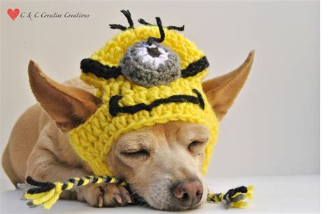 Despicable Me Minion Dog Hat Pet Hat Cat Hat Dog Costume