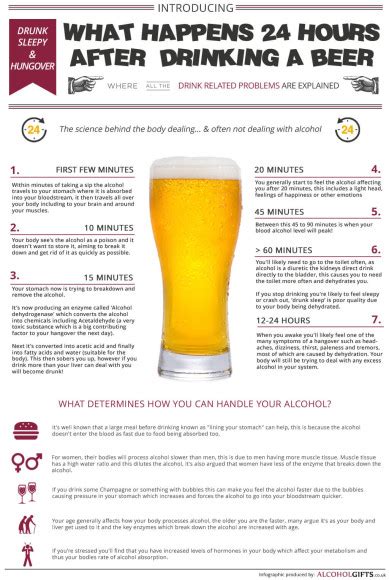 What Happens In Your Body 24 Hours After Drinking A Beer Infographic