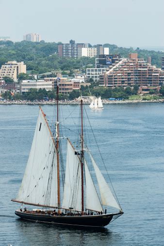 Bluenose Schooner Pictures Images And Stock Photos Istock