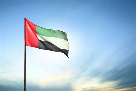 After these states gained their independence from the british in 1971, they formed an alliance and rebranded to be known as the united arab emirates. UAE's National Sterilisation Programme has now ended ...
