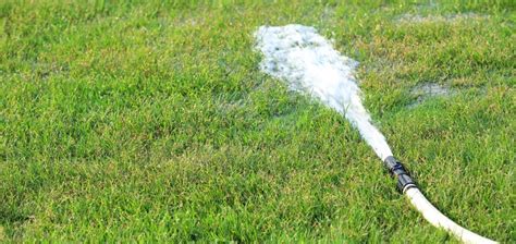 6 Signs You Are Overwatering Your Lawn Lawnstar