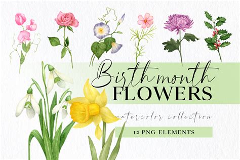 Birth Month Flower Png Clipart Botanical Floral Clip Art Etsy