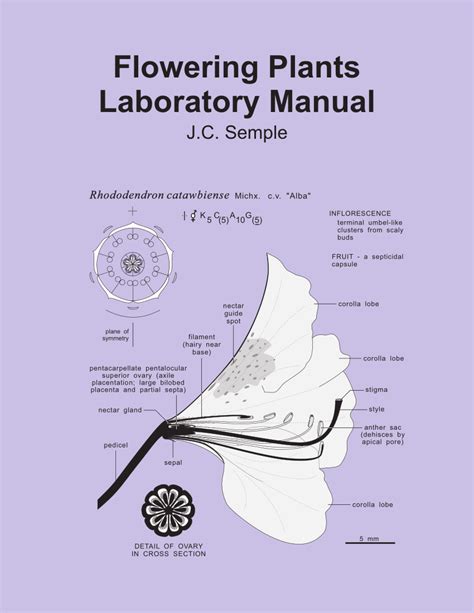 Pdf Flowering Plants Laboratory Manual
