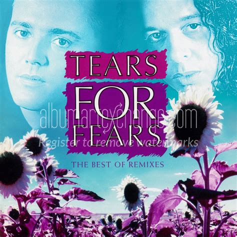 Album Art Exchange The Best Of Remixes By Tears For Fears Album