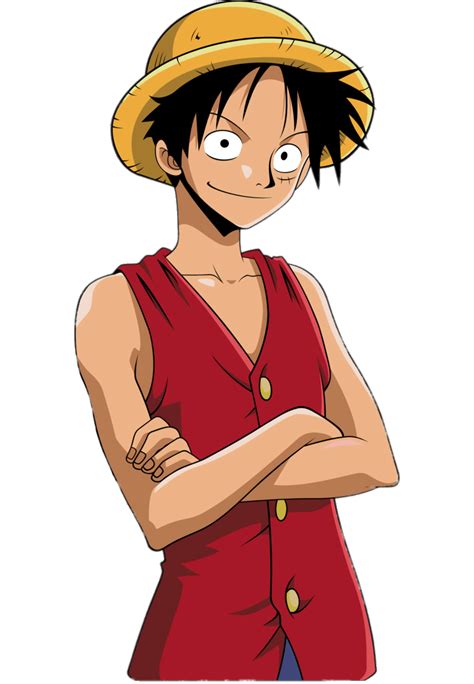 Check Out This Transparent One Piece Monkey D Luffy Arms