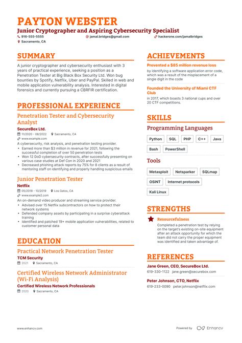 5 Penetration Tester Resume Examples & Guide for 2024