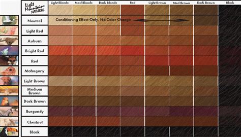 Hair Color Chart Skin Tone With Skin Tone Chart Skin Tones Are Divided