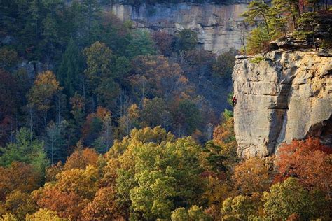 Climbing Colorful Kentucky Photography By ©andrew Burr1 Twitter