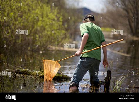 Young Boy Having Fun Catching Frogs With Frog Net In The Summer Time