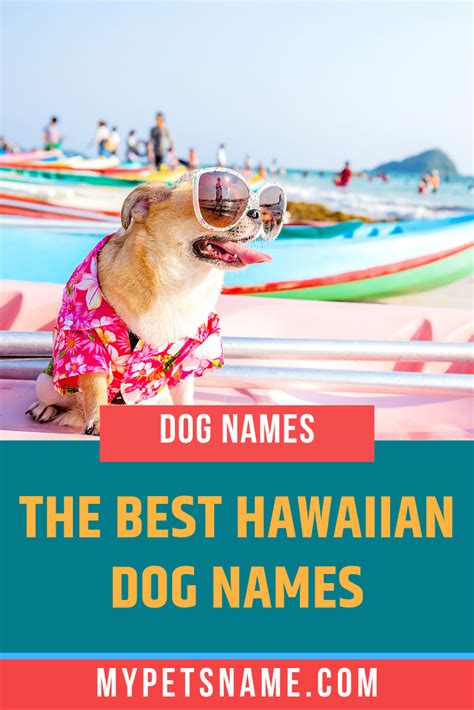 Best Hawaiian Dog Names Hawaiian Dog Names Dog Names Best Dog Names