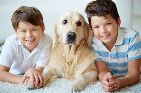 Low Maintenance Pets For Child Low Maintenance Pets For Kids Are A