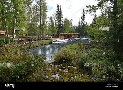Liard River Hot Springs Provincial Park British Columbia Canada Stock