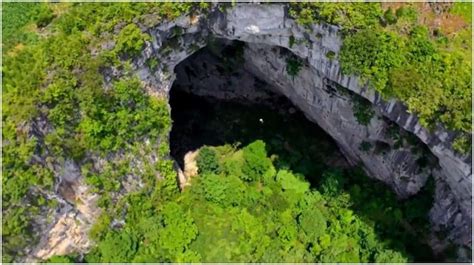 Discovered A Mysterious Thousand Year Old Ancient Forest At The Bottom Of A Giant Sinkhole In China