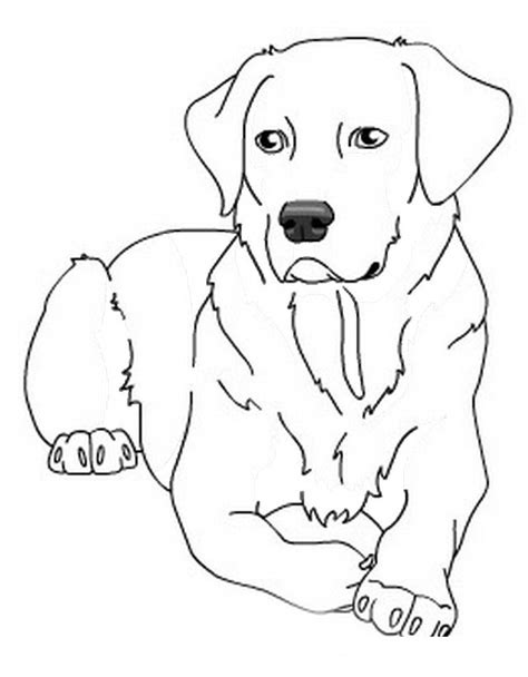 Https://tommynaija.com/coloring Page/lab Puppy Coloring Pages