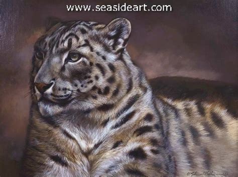 Relaxed Snow Leopard Seaside Art Gallery