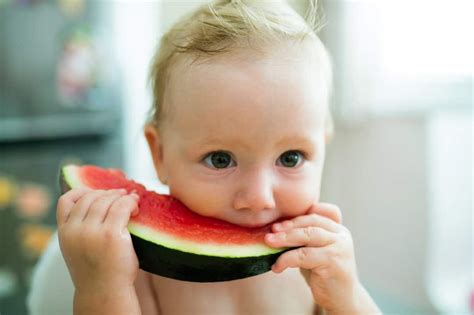 When Can Babies Eat Watermelon Your Kids Table