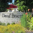 DAVID BRUCE WINERY (Los Gatos) - All You Need to Know BEFORE You Go