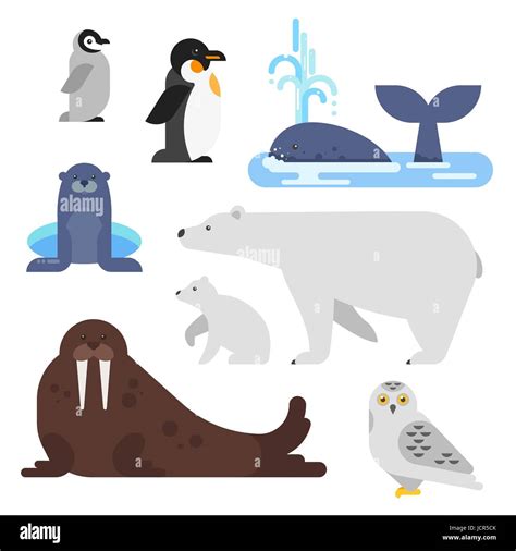 Vector Flat Style Set Of Arctic Animal Walrus Whale Penguin Bear
