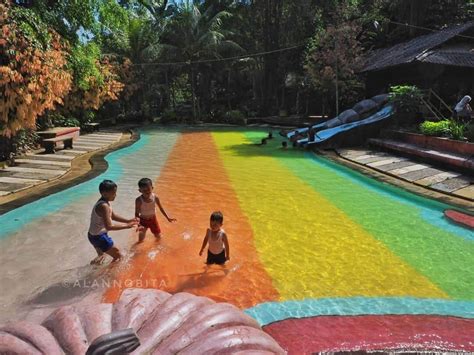 Wisata kebun teh dan alam bebas bagi anda yang suka berpetualang. Lokasi, Rute, Foto Dan Harga Tiket Masuk Taman Botani Jember