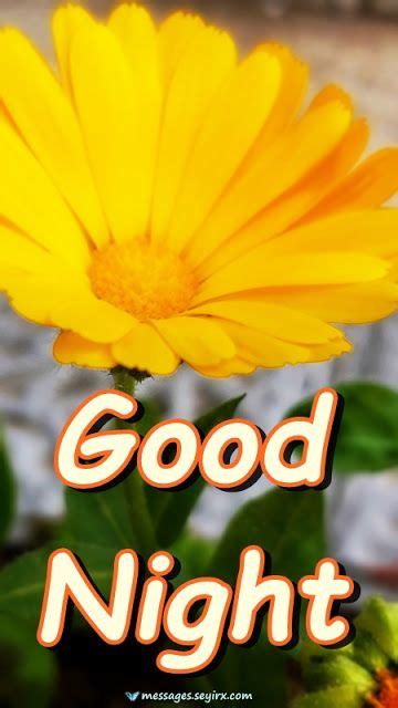 Good Night Messages With Yellow Flower Photo Good Night Messages Good Night Flowers Yellow