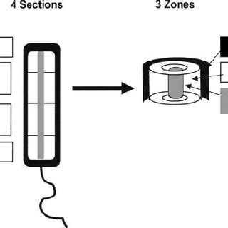 Instructions for inserting a tampon with a bui. Placement of vaginal sensors in vaginal canal pre ( A )- and post ( B... | Download Scientific ...
