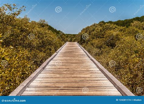 Endless Wooden Path Over Marsh Land In Broome Australia Stock Photo