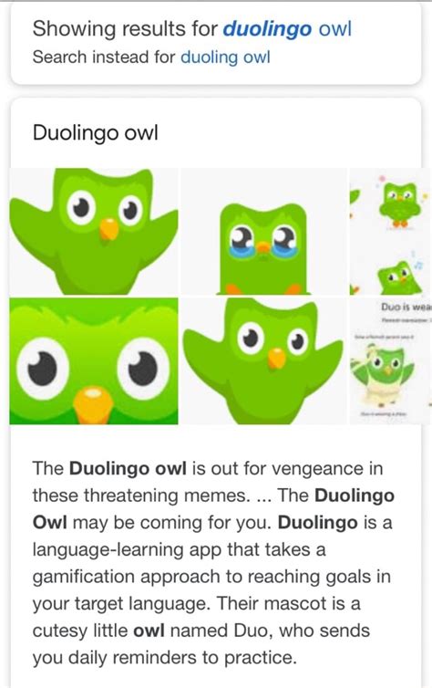 Showing Results For Duolingo Owl Search Instead For Duoling Owl
