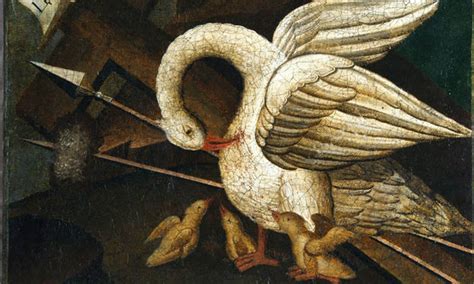 The Catholic Talks Article Why The Pelican Is A Symbol Of Christ