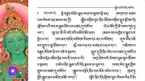 21 Praises To Tara Daily Practice Dolma 21tibetan Prayerསྒྲོལ་མ་ཉེར