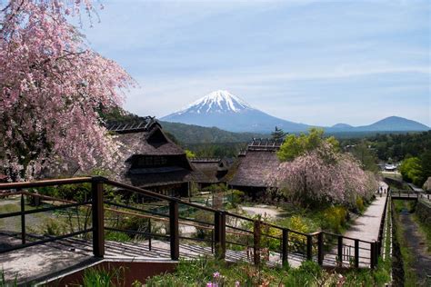 A Day Trip To Mount Fuji From Tokyo