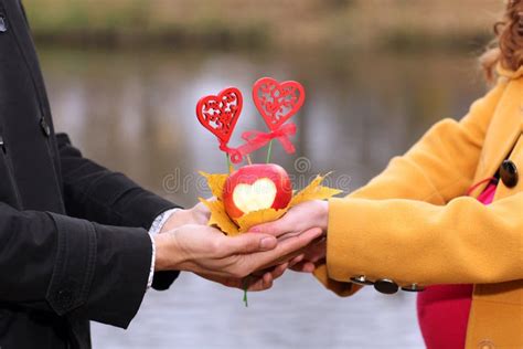 Lovers Hands Pair Men And Women Stock Image Image Of Friends Heart