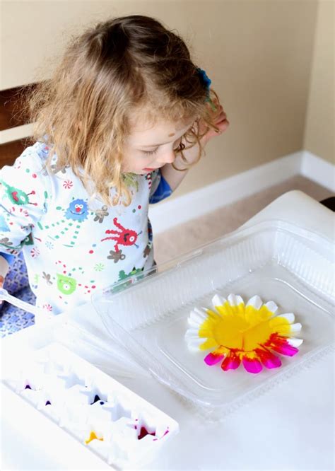 Kid Friendly Science Experiments With Flowers For Spring And Mothers