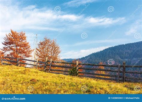 Autumn Countryside Scenery In Mountains Stock Photo Image Of Blue
