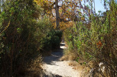 All in all, about 50 lbs of equipment. Where to ride the best mountain bike trails in Los Angeles ...