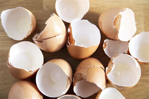 ¡no Las Tires 6 Consejos Para Reutilizar Las Cáscaras De Huevo