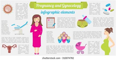gynecology pregnancy infographic template motherhood elements stock vector royalty free